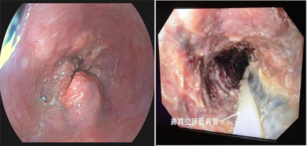 未标题-1.jpg