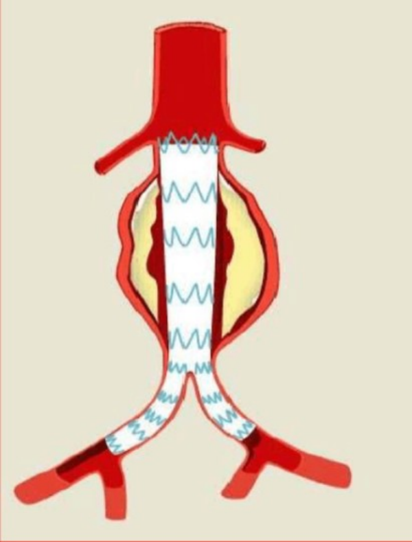 图片 7.png